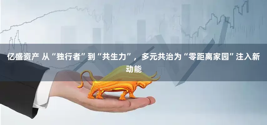 亿盛资产 从“独行者”到“共生力”，多元共治为“零距离家园”注入新动能