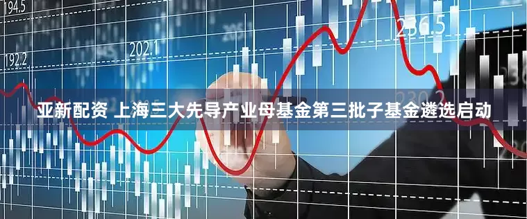 亚新配资 上海三大先导产业母基金第三批子基金遴选启动