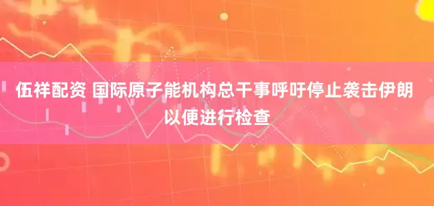 伍祥配资 国际原子能机构总干事呼吁停止袭击伊朗 以便进行检查
